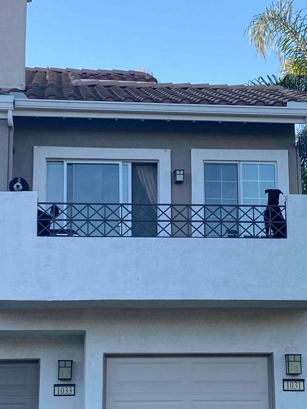 Townhouse for rent at 1031 S Daybreak Court, Anaheim, CA 92808