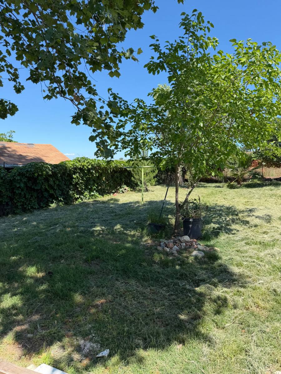 House for rent at 4851 Virginia Ave, Oroville, CA 95966