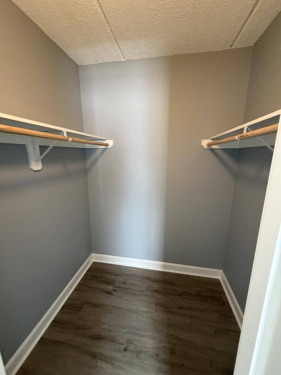 Condo for rent at 8360 12th St N #D, Saint Petersburg, FL 33702