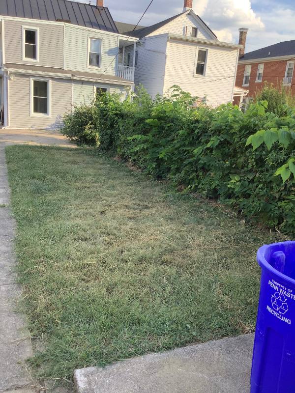 House for rent at 407 Herman Ave, Lemoyne, PA 17043