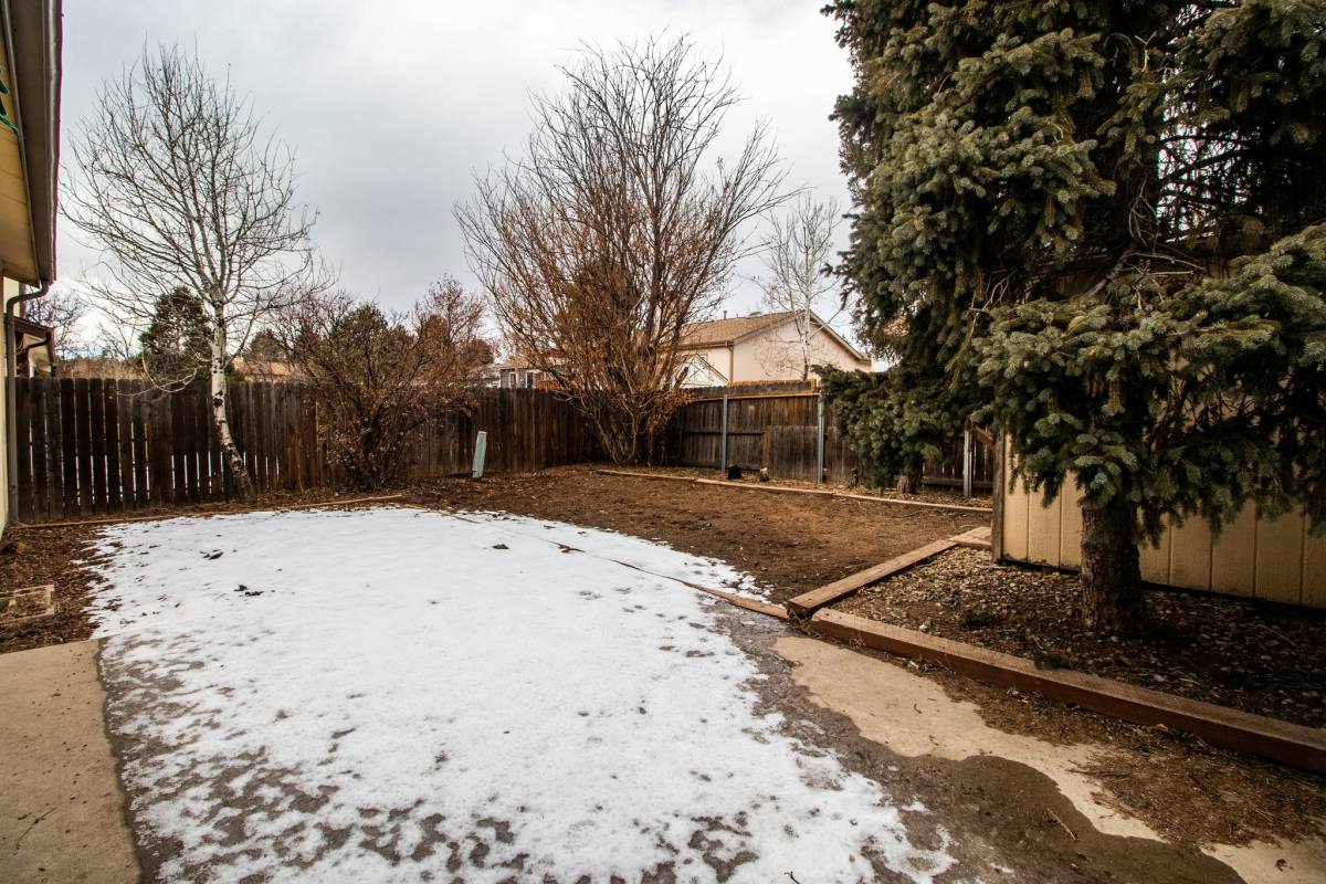 House for rent at 5742 Stoney Pass Dr, Colorado Springs, CO 80917
