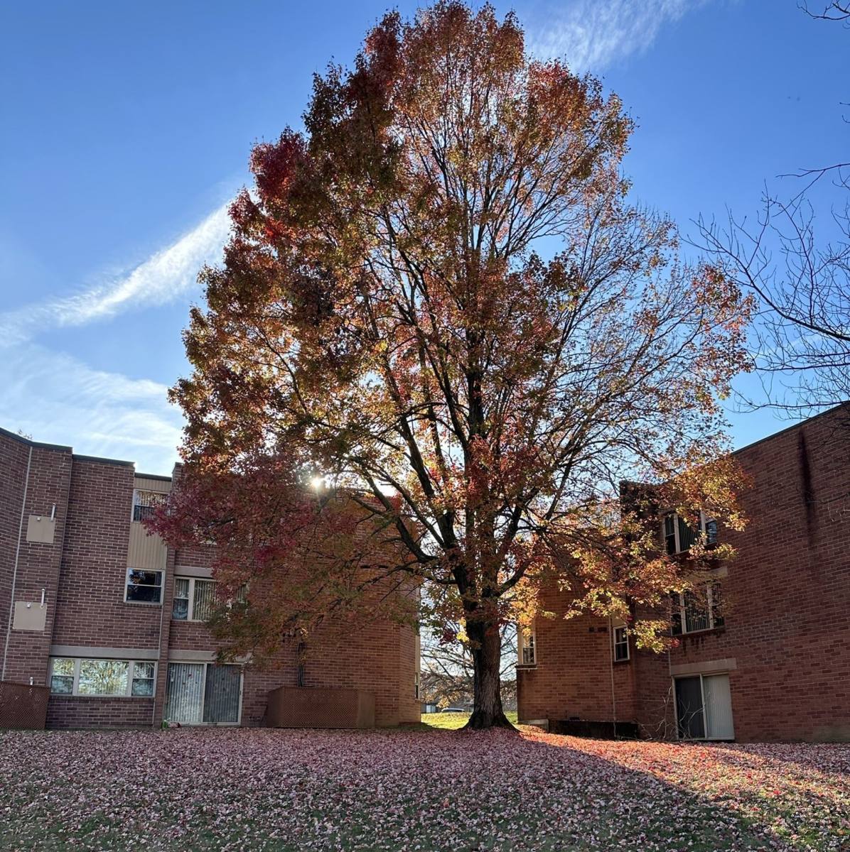 Apartment for rent at 206 N Shenandoah Dr, Latrobe, PA 15650