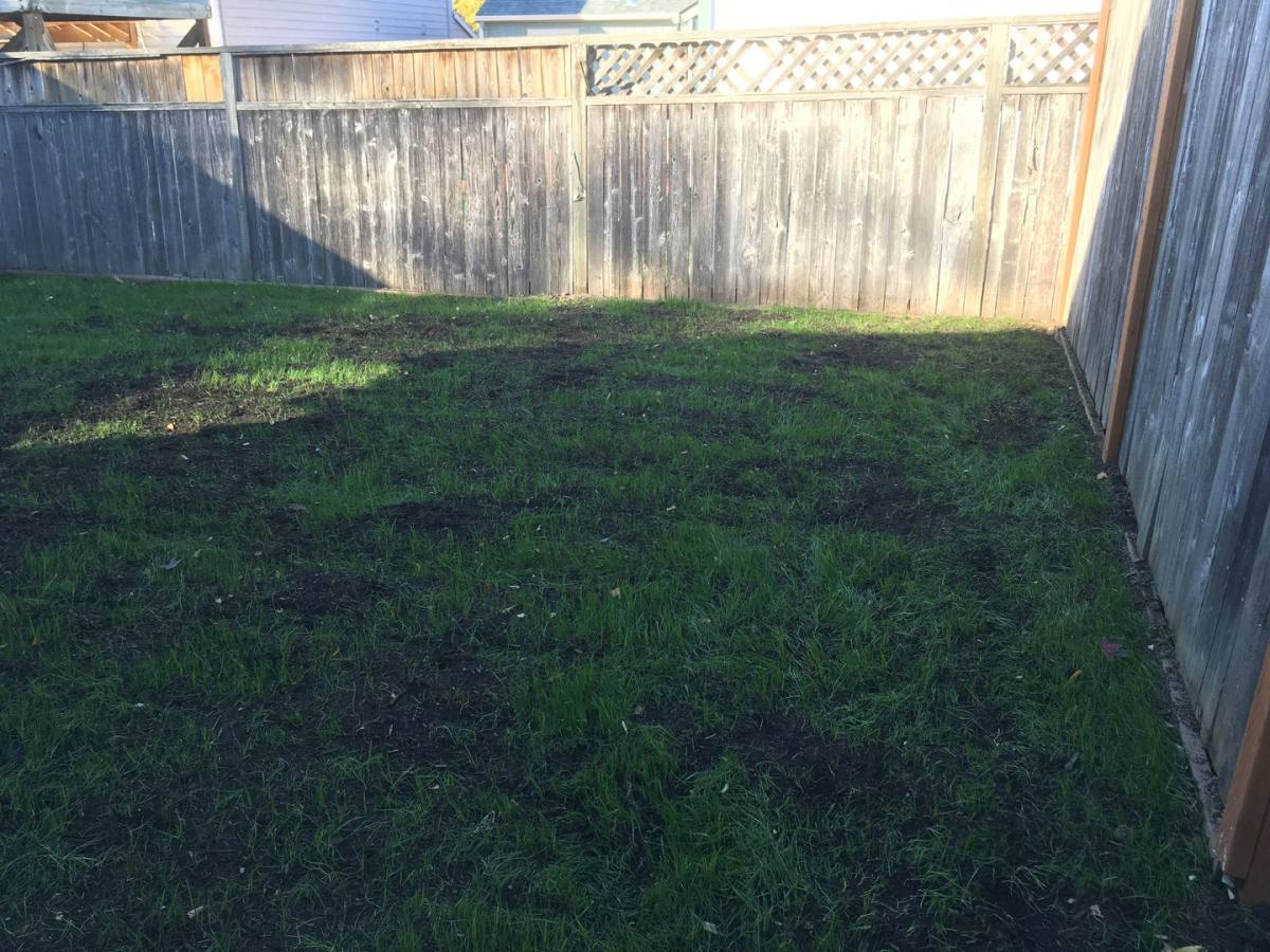 Apartment for rent at 12695 SW 9th St #B, Beaverton, OR 97005