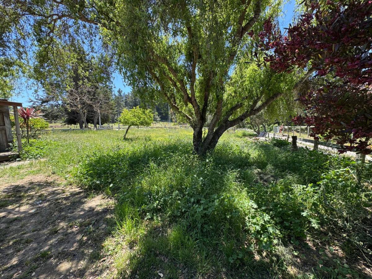 House for rent at 640 Peaceful Valley, Watsonville, CA 95076