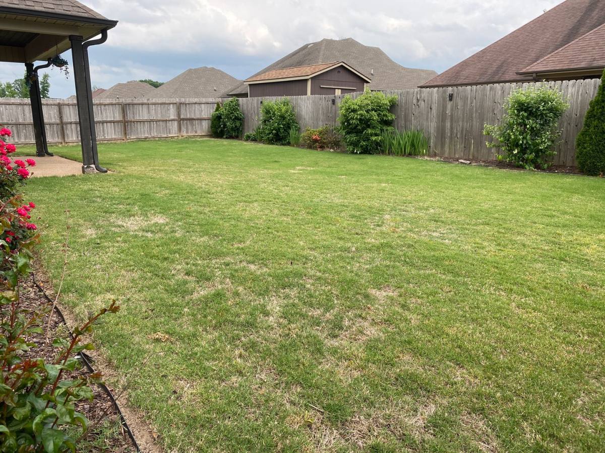 House for rent at 60 Doe Valley, Jackson, TN 38305