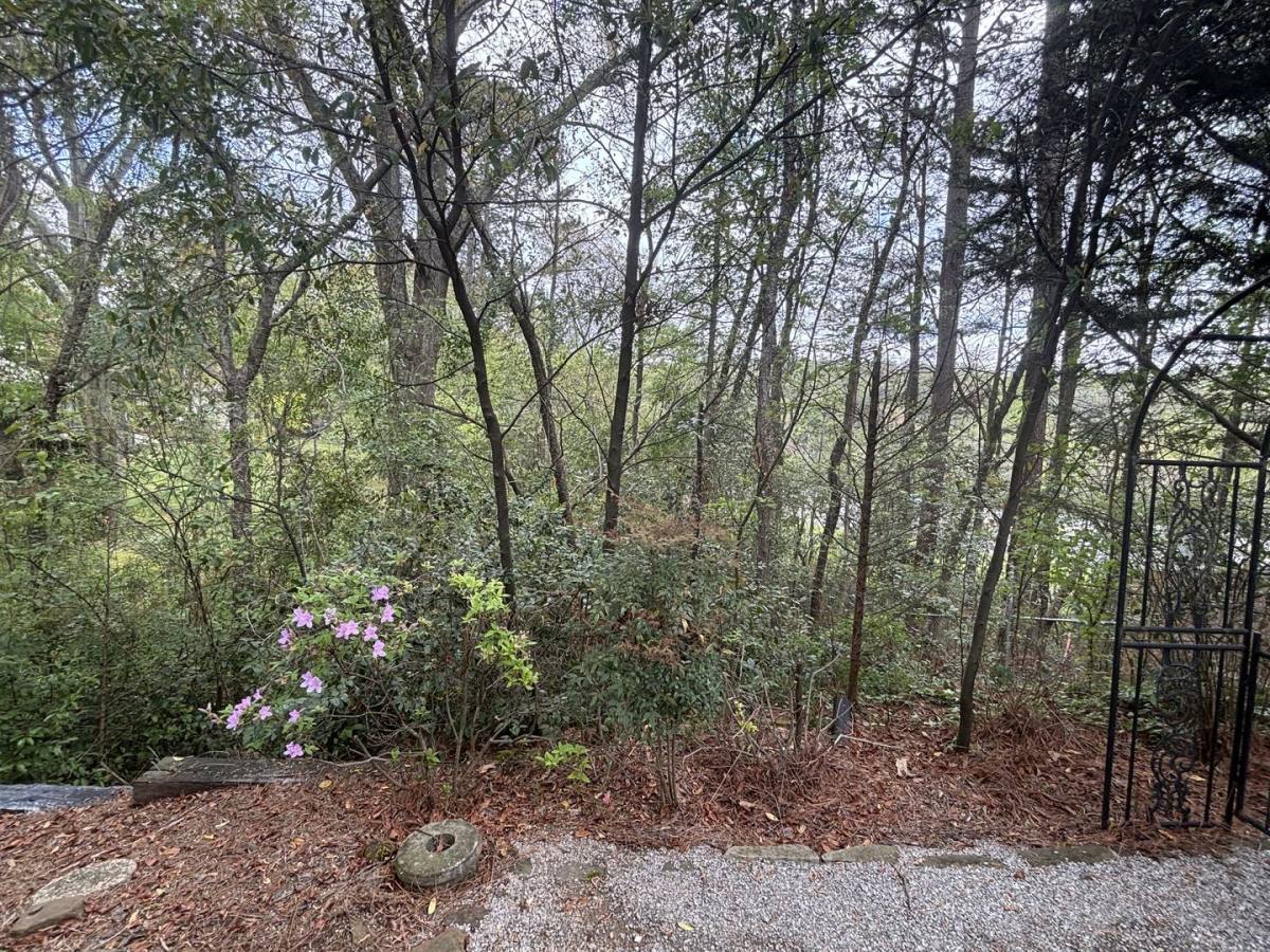 House for rent at 1209 Ivy Brook Circle, Birmingham, AL 35209