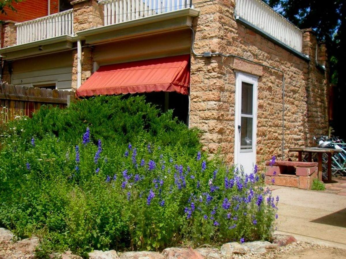 Apartment for rent at 1018 Pine St, Boulder, CO 80302