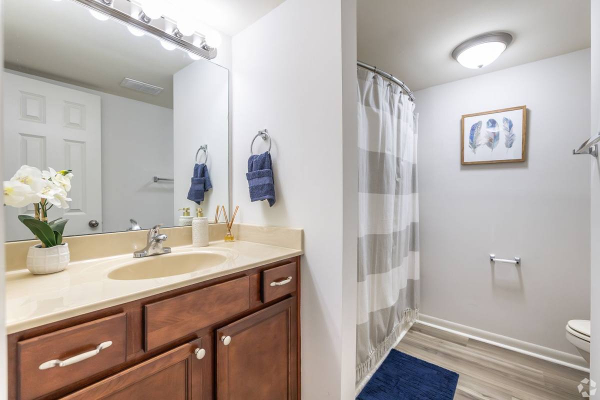 Apartment for rent at 3300 Montavesta Rd, Lexington, KY 40502