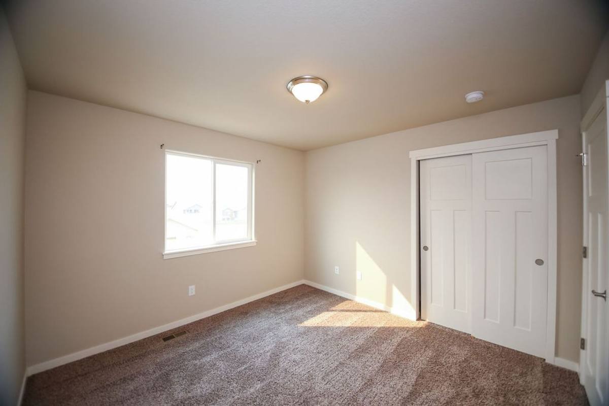 House for rent at 6987 Sumner St, Wellington, CO 80549