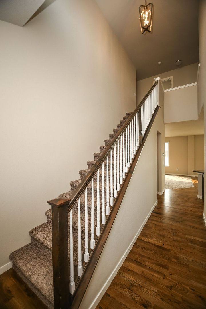 House for rent at 6987 Sumner St, Wellington, CO 80549