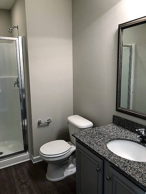 House for rent at 172 Sunsation Dr, Chapin, SC 29036