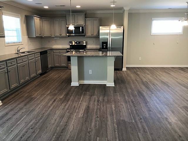 House for rent at 172 Sunsation Dr, Chapin, SC 29036