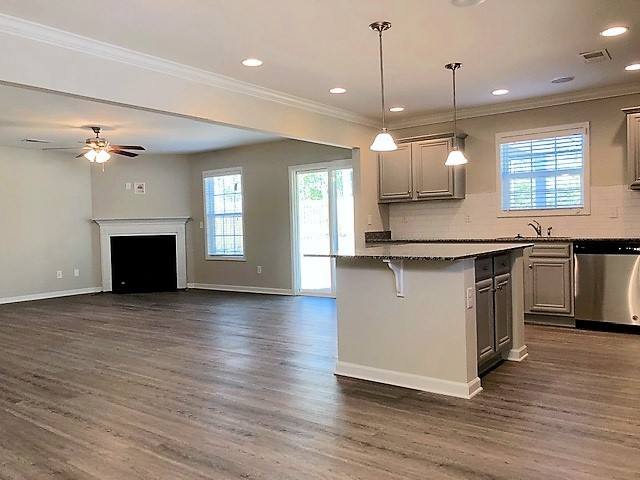 House for rent at 172 Sunsation Dr, Chapin, SC 29036