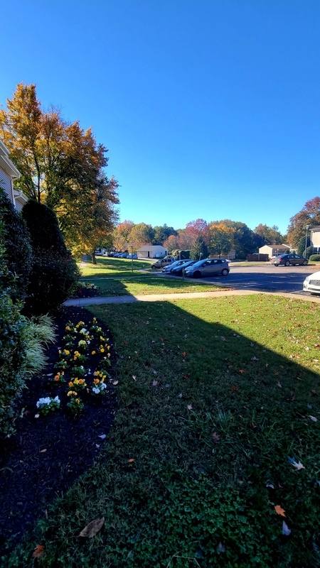 Apartment for rent at 1245 Nelson St #D, Henrico, VA 23231