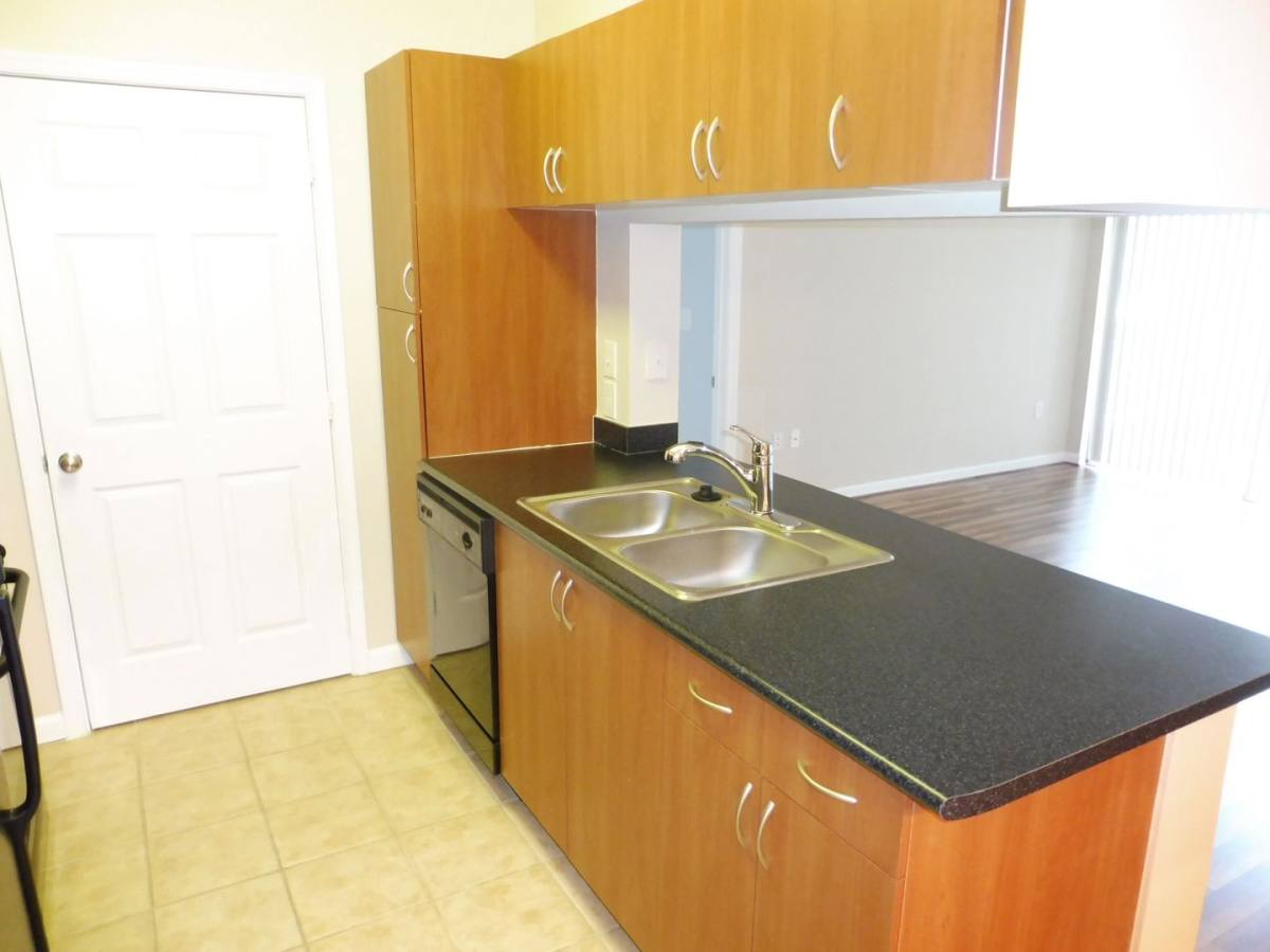 Condo for rent at 19611 Galway Bay Circle, Germantown, MD 20874