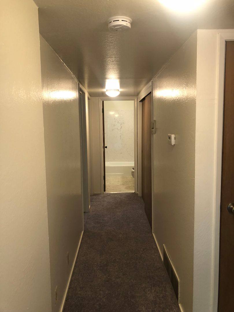 Apartment for rent at 2428 Ellsworth St, Berkeley, CA 94704