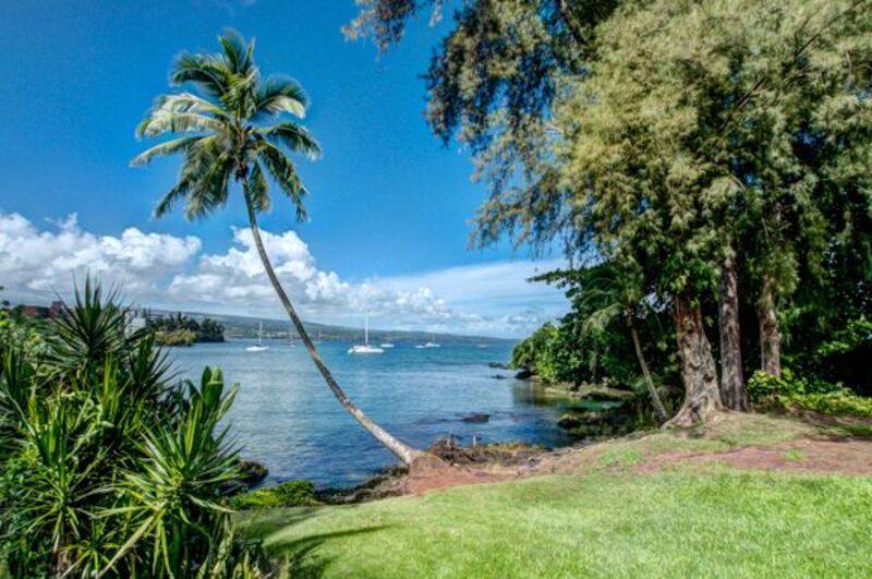 Apartment for rent at 355 Kalanianaole Ave #119, Hilo, HI 96720