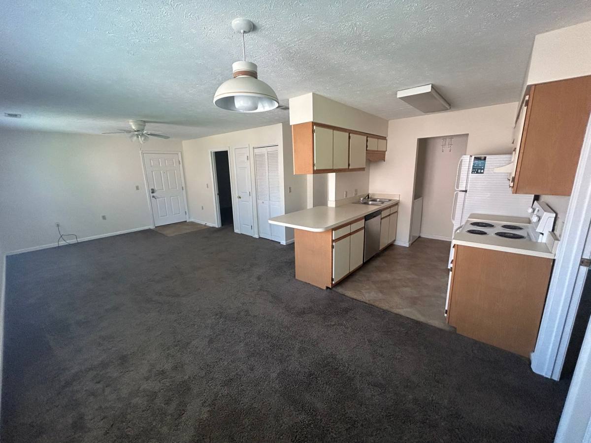 Apartment for rent at 401 E Olive St, Bridgeport, WV 26330