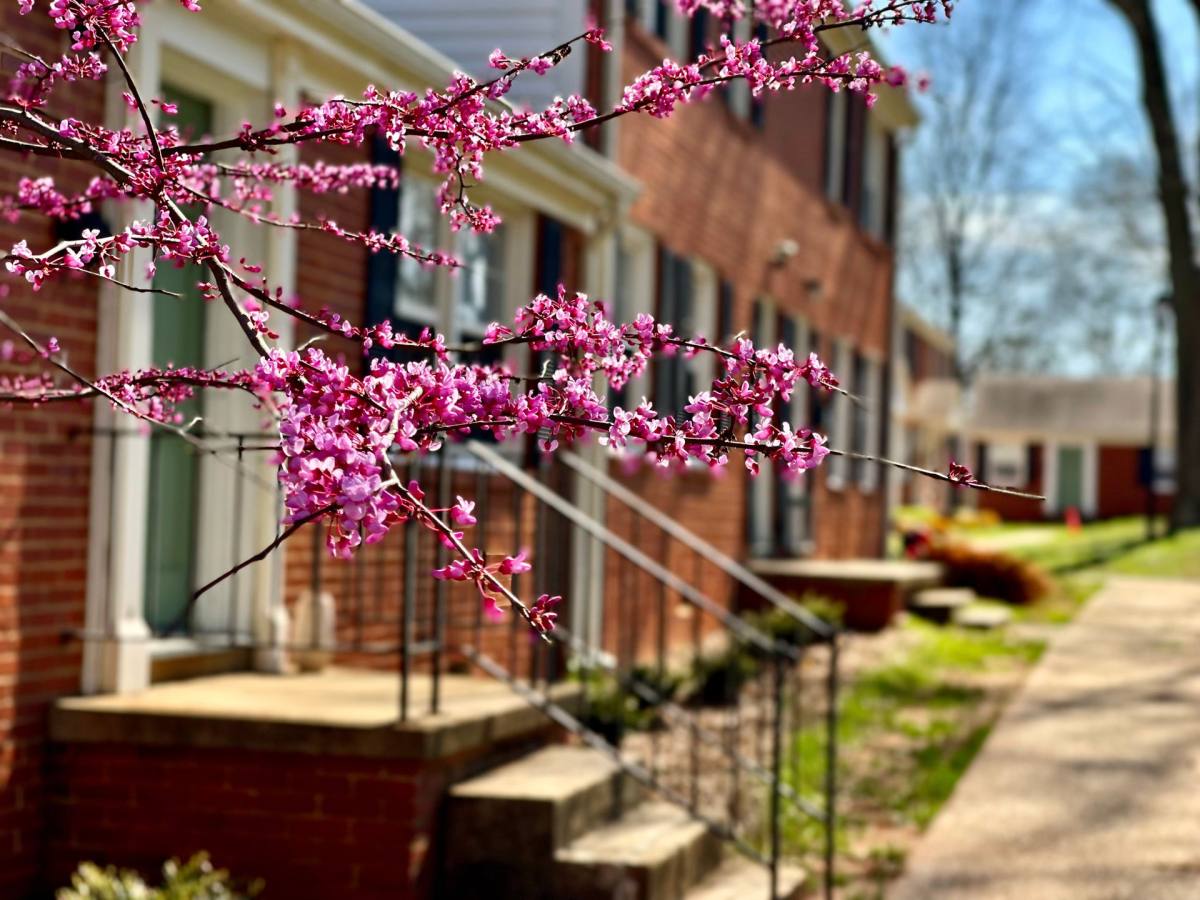 Townhouse for rent at 1000 Hill St, Greensboro, NC 27408