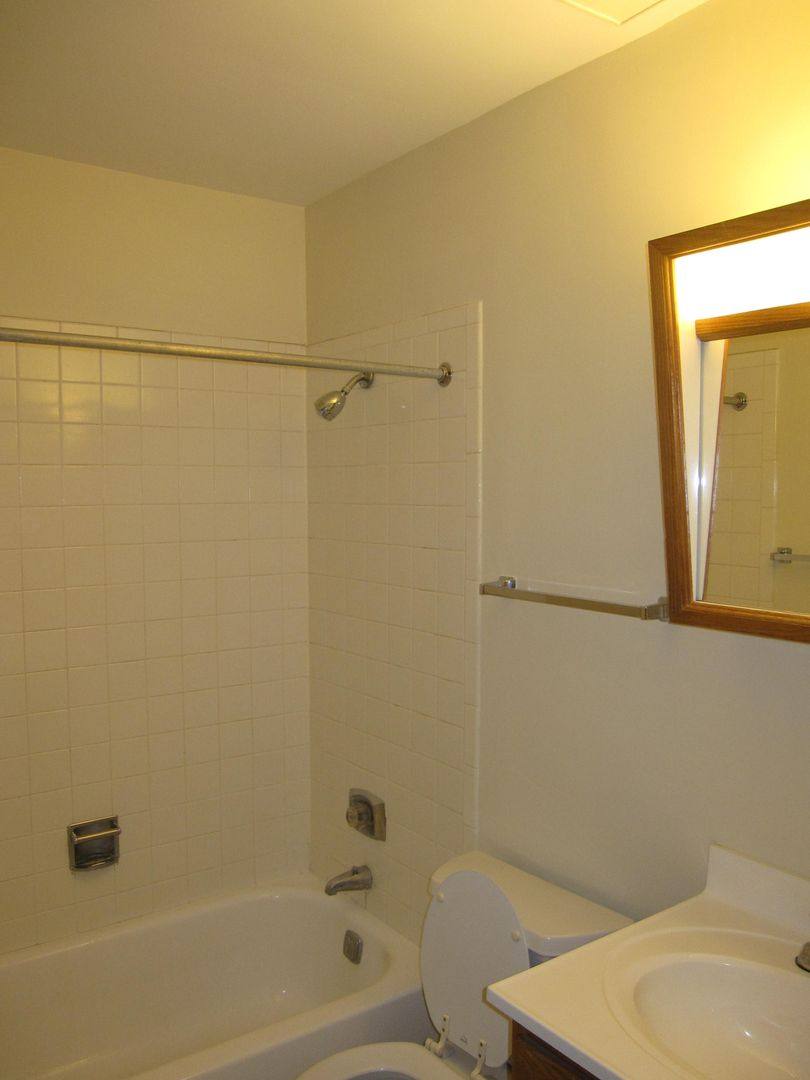 Apartment for rent at 1077 Dickens Way, Schaumburg, IL 60193