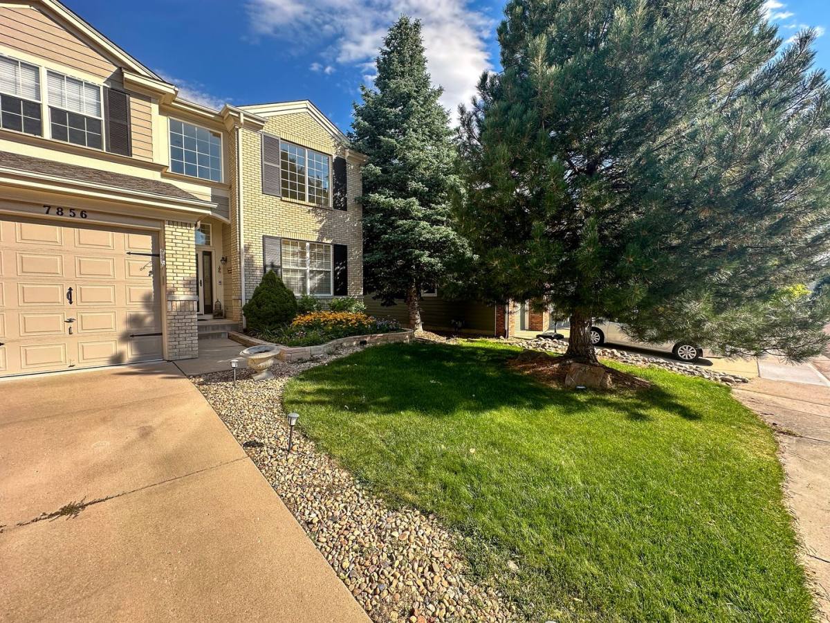 House for rent at 7856 Stonedale Dr, Castle Rock, CO 80108