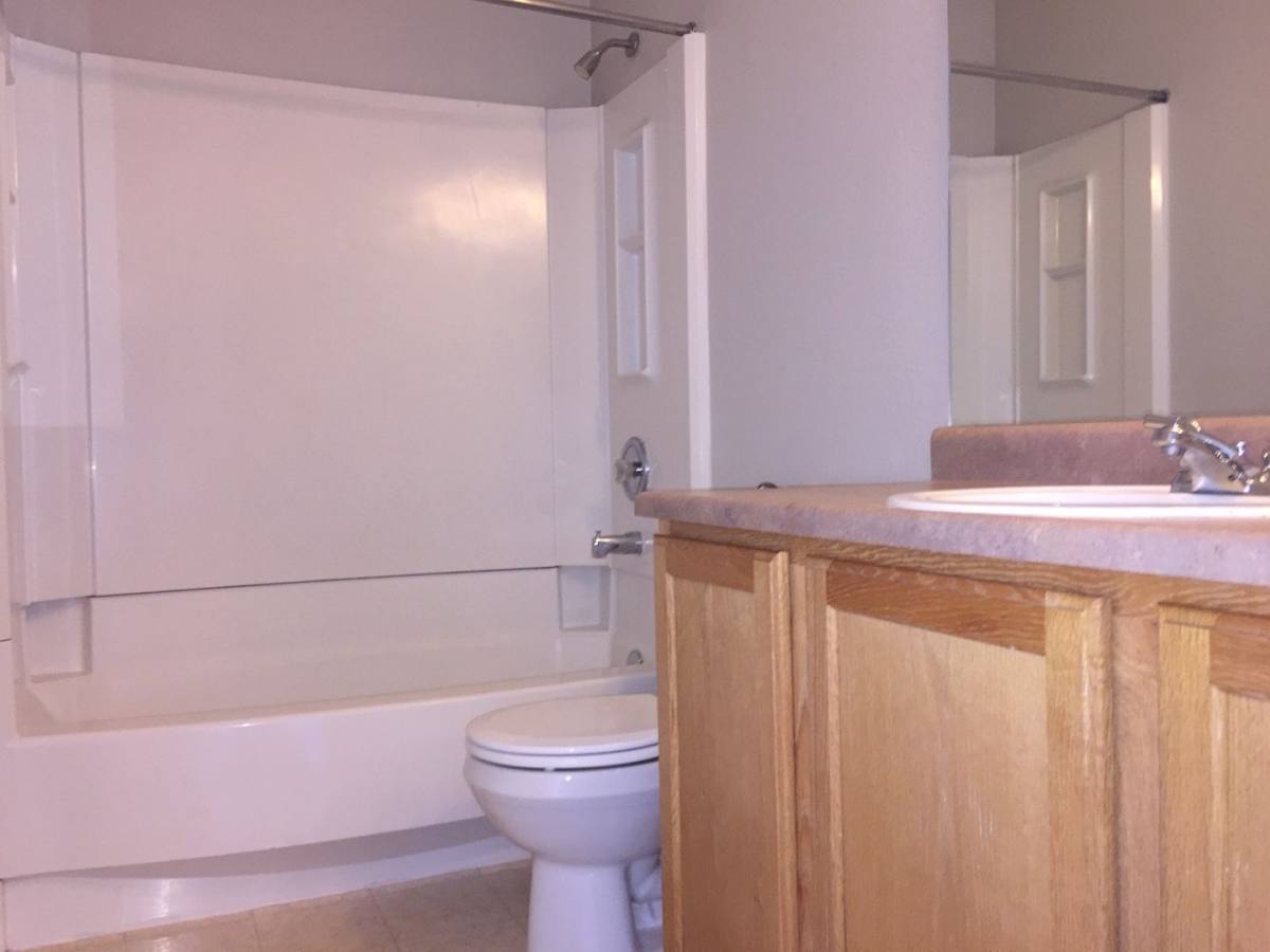 House for rent at 4899 Saddle Ridge Dr, Colorado Springs, CO 80922