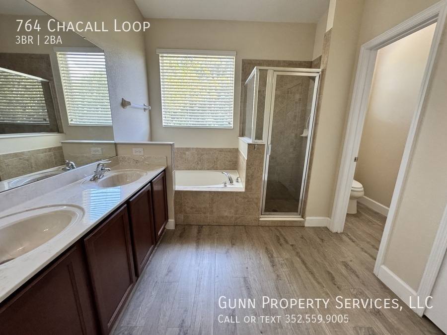 House for rent at 764 Chacall Loop, Mount Dora, FL 32757