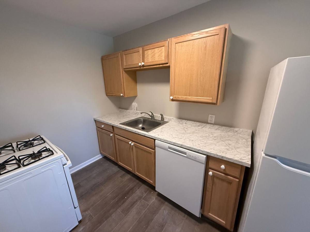 House for rent at 213 N Ann St, Columbia, MO 65201