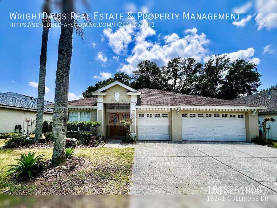 House for rent at 18241 Collridge Dr, Tampa, FL 33647