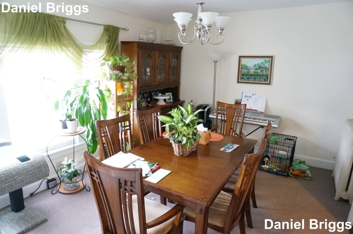 Apartment for rent at 18 Orkney Rd #3, Brighton, MA 02135