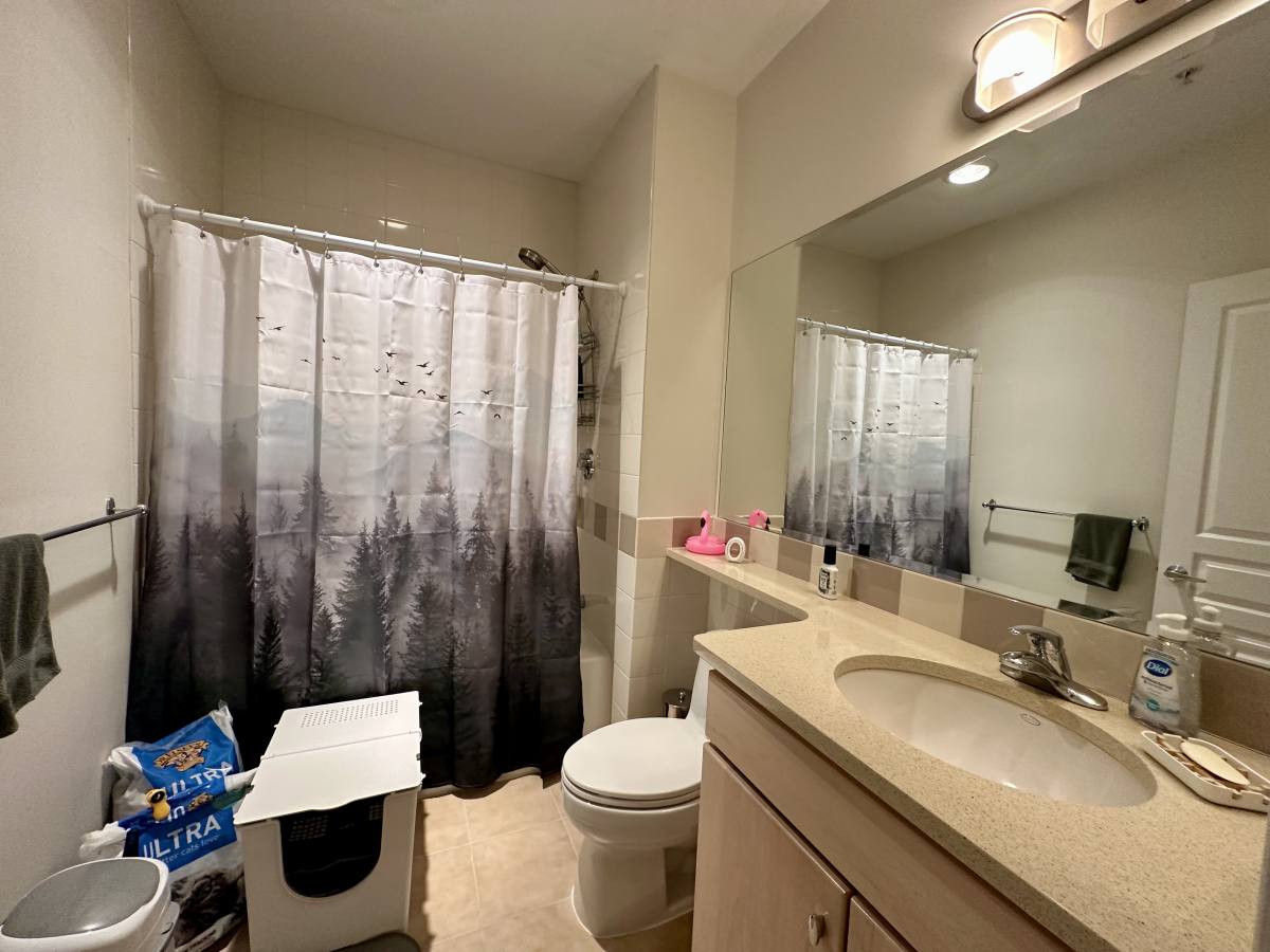 Condo for rent at 4 Repton Circle #4202, Watertown, MA 02472