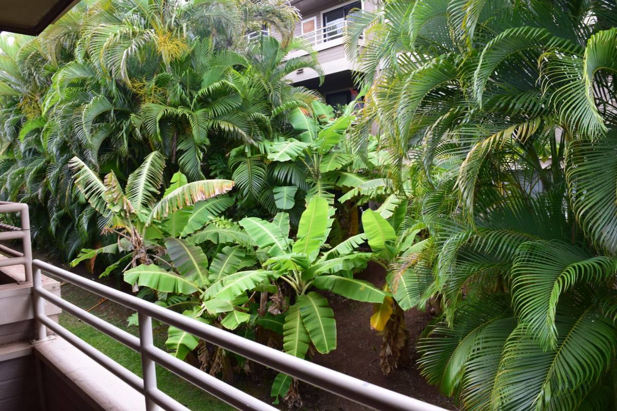 Apartment for rent at 2747 S Kihei Rd, Kihei, HI 96753