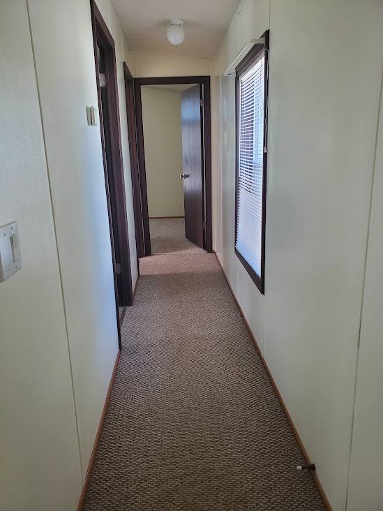 House for rent at 41 County Rd, Milford, ME 04461