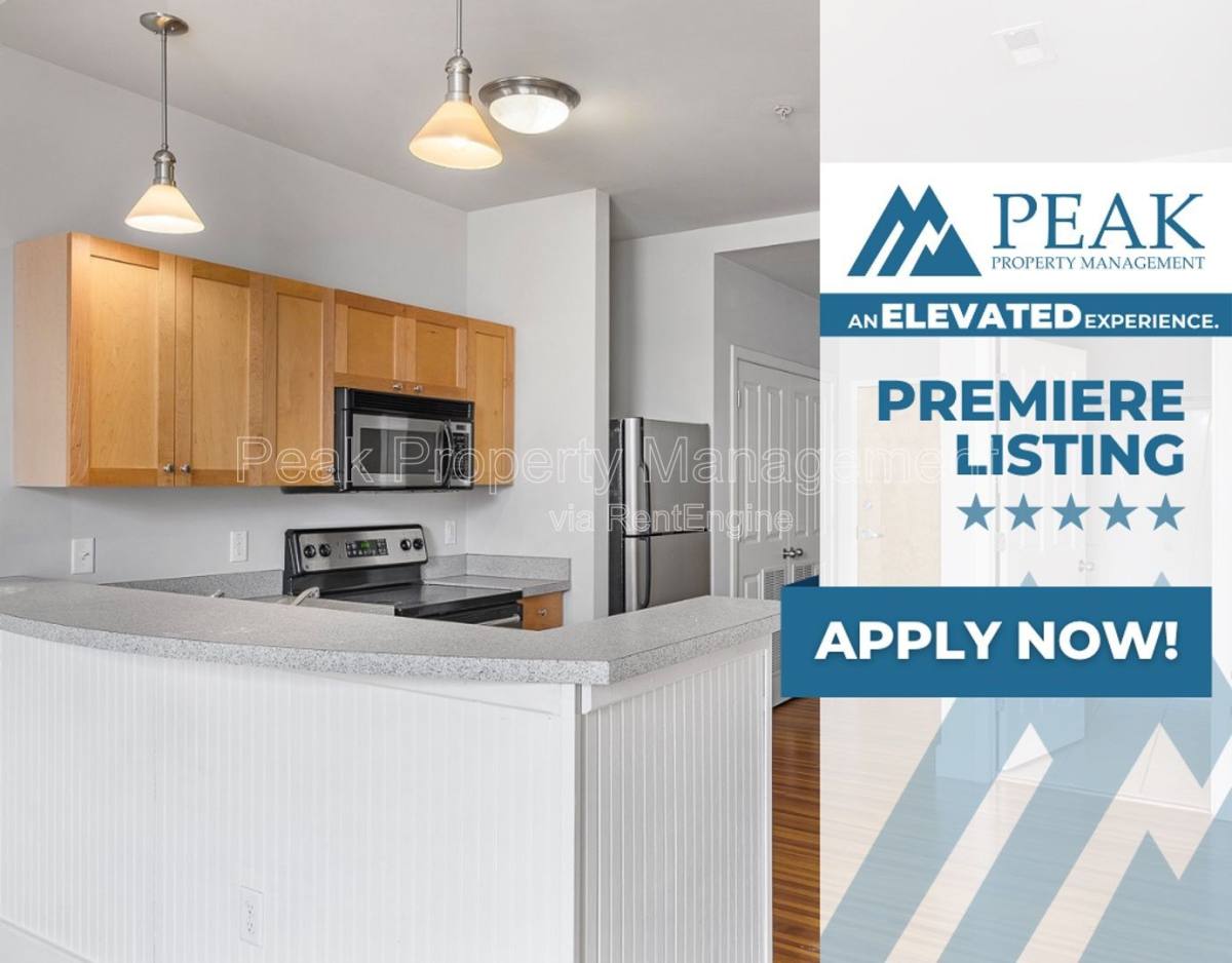 Apartment for rent at 220 E Marshall St, Richmond, VA 23219