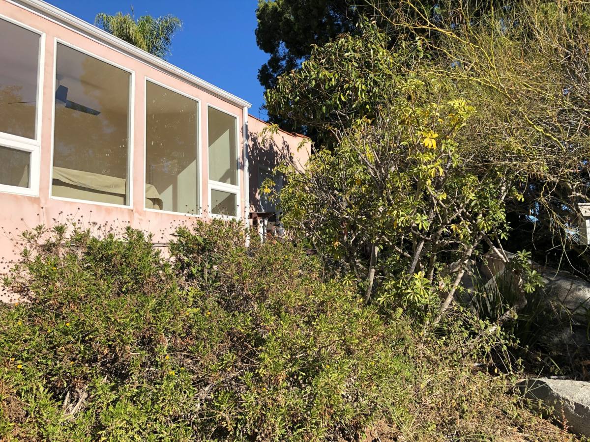 House for rent at 258 Mar Vista Dr, Vista, CA 92083