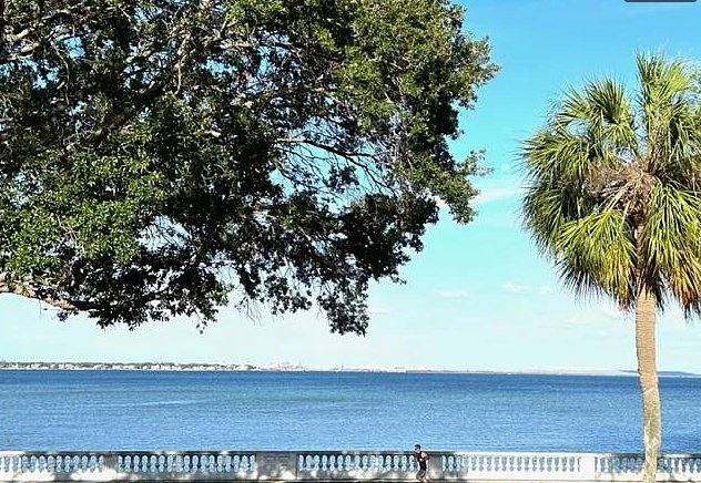 Apartment for rent at 4015 Bayshore Blvd #8D, Tampa, FL 33611