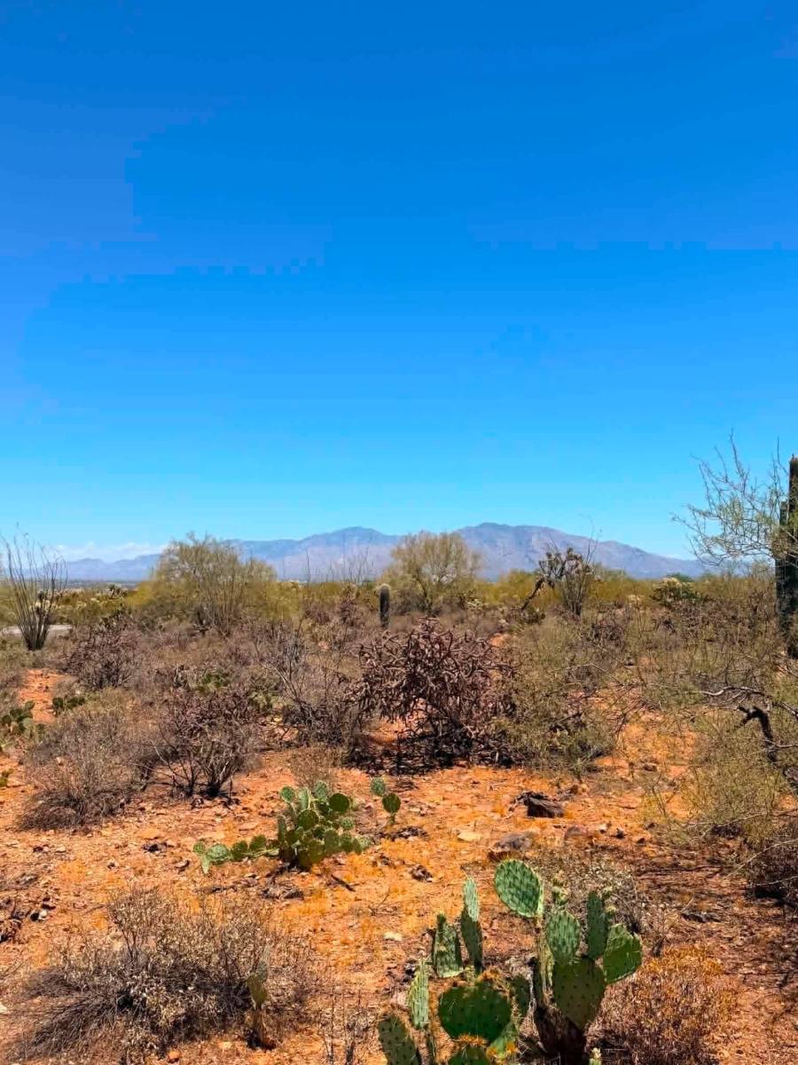 House for rent at 6375 Happy Trail, Tucson, AZ 85743
