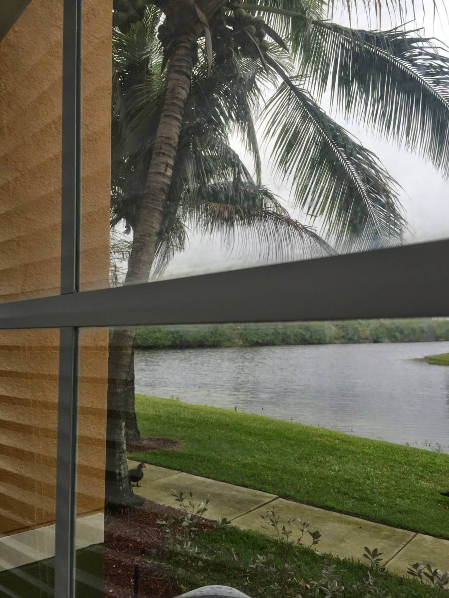 Condo for rent at 2201 W Preserve Way #104, Hollywood, FL 33025
