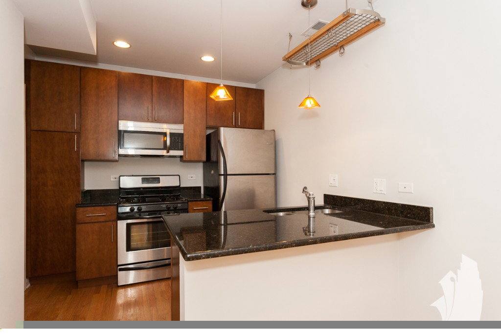 Apartment for rent at 1634 W Grace St #1, Chicago, IL 60613