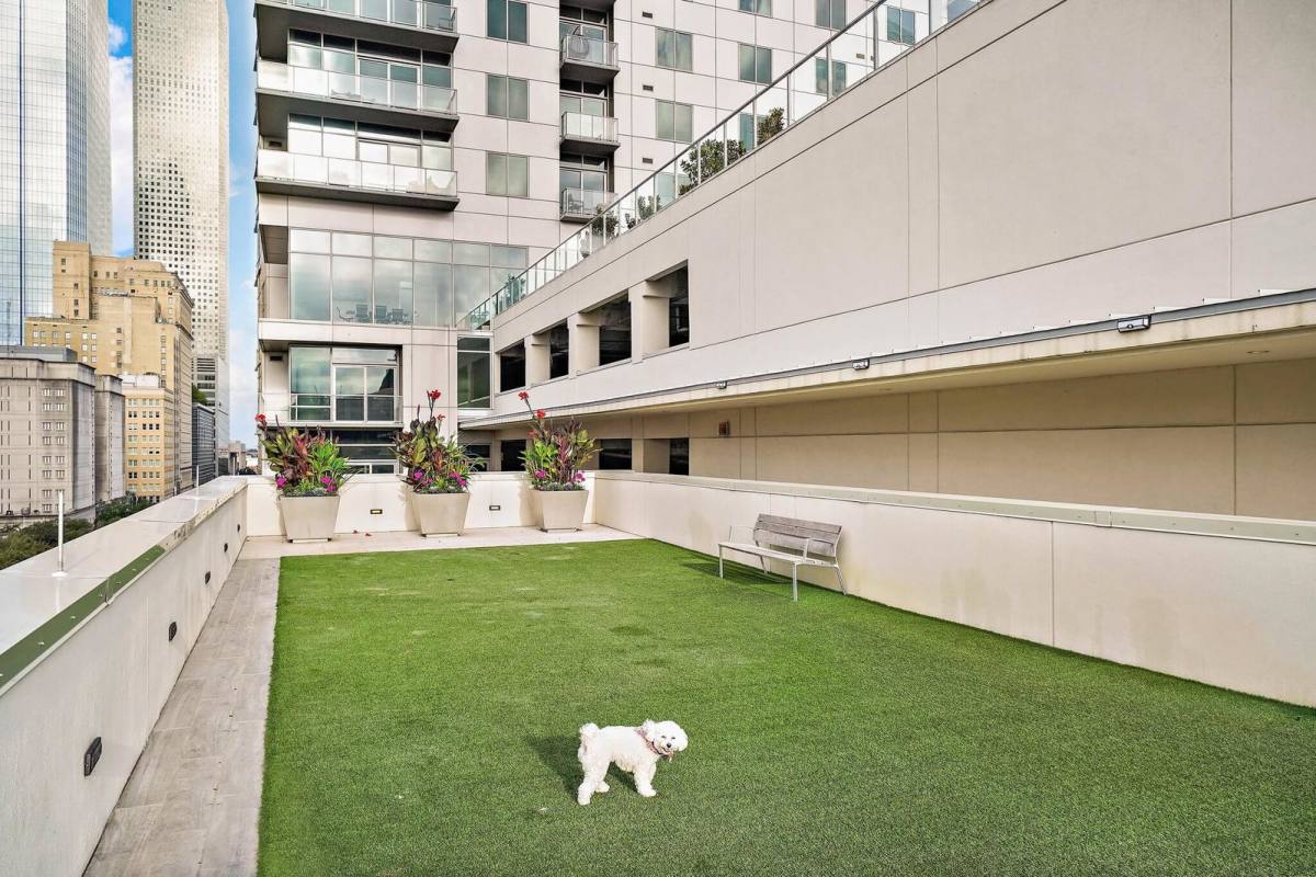 Apartment for rent at 1475 Texas St, Houston, TX 77002