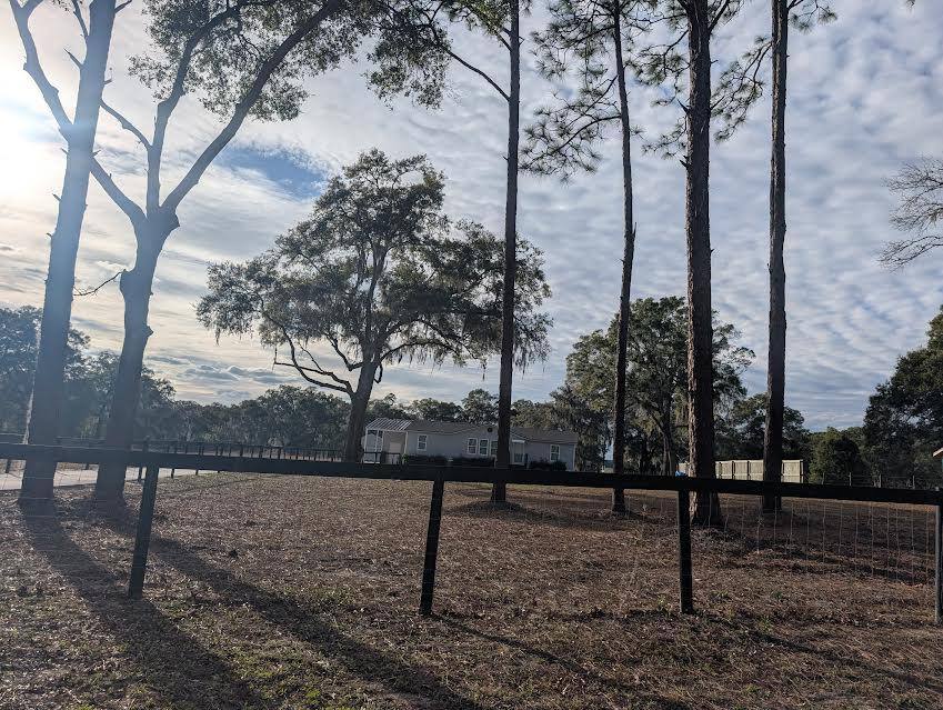 House for rent at 4242 SW 89th Ave, Ocala, FL 34481