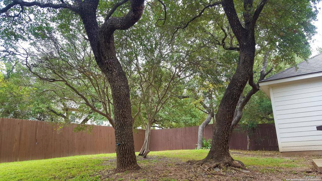 House for rent at 4426 James Bowie, San Antonio, TX 78253