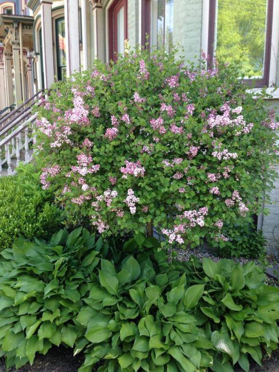 Townhouse for rent at 156 Circular St #5, Saratoga Springs, NY 12866