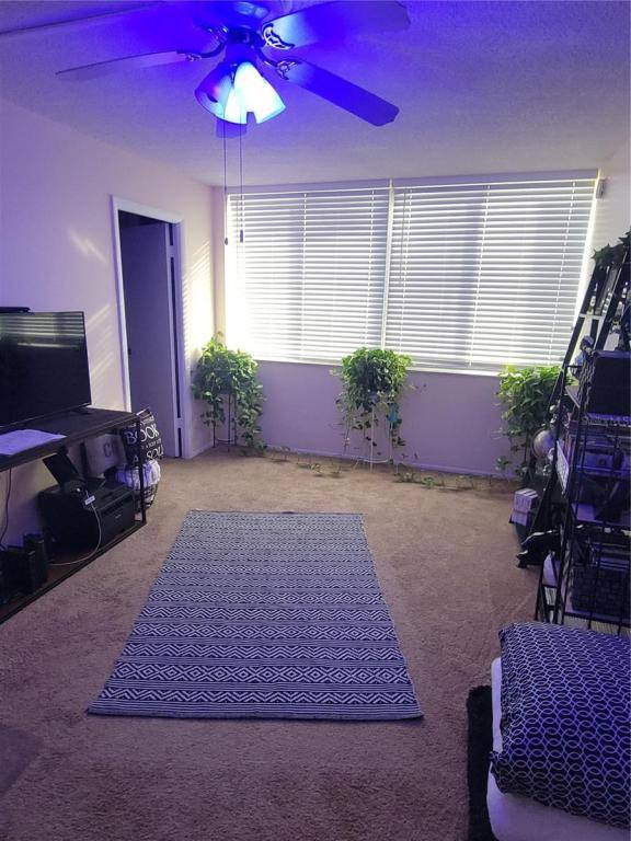 Apartment for rent at 4880 Locust St NE #234, Saint Petersburg, FL 33703