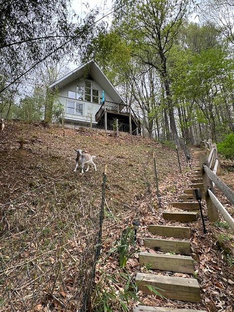 House for rent at 240 Jim Branch Rd, Swannanoa, NC 28778