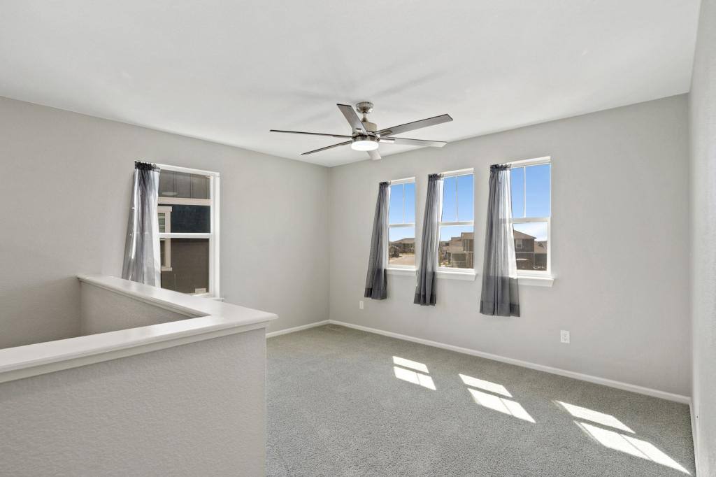 House for rent at 4115 Chasm Lake Dr, Loveland, CO 80538
