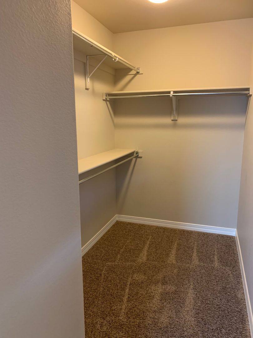 House for rent at 1575 Portland Gold Dr, Colorado Springs, CO 80905