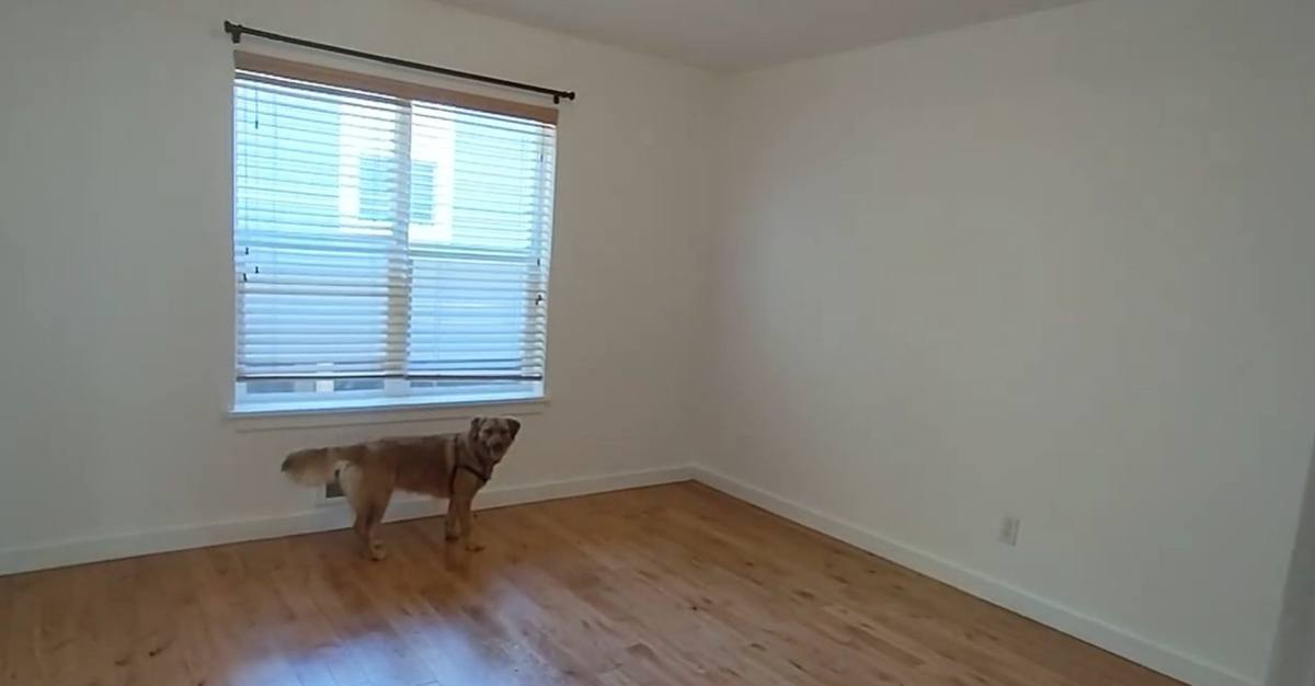 Apartment for rent at 3401-3417 SW 1st St #& 110-120 Whitaker, Portland, OR 97239