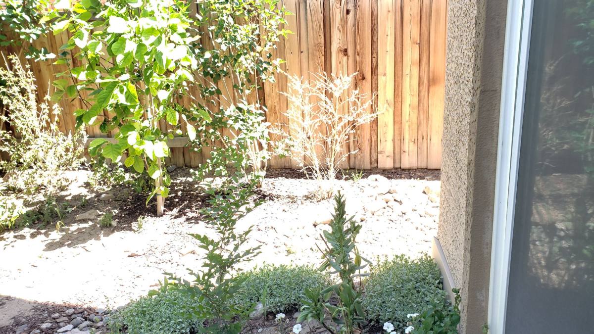 House for rent at 3890 Silent Pebble Way, Sparks, NV 89436