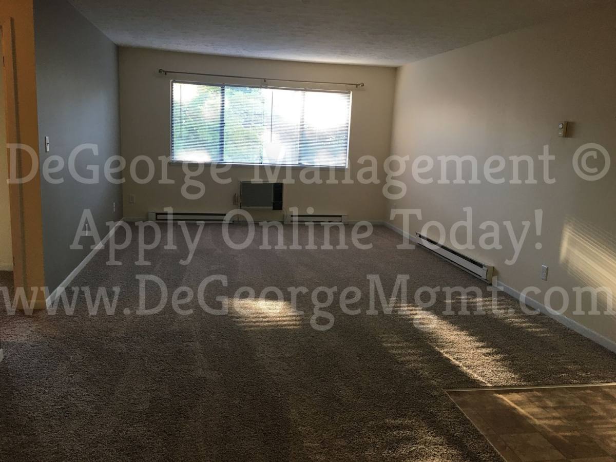 Apartment for rent at 311 Washington St, Newark, NY 14513